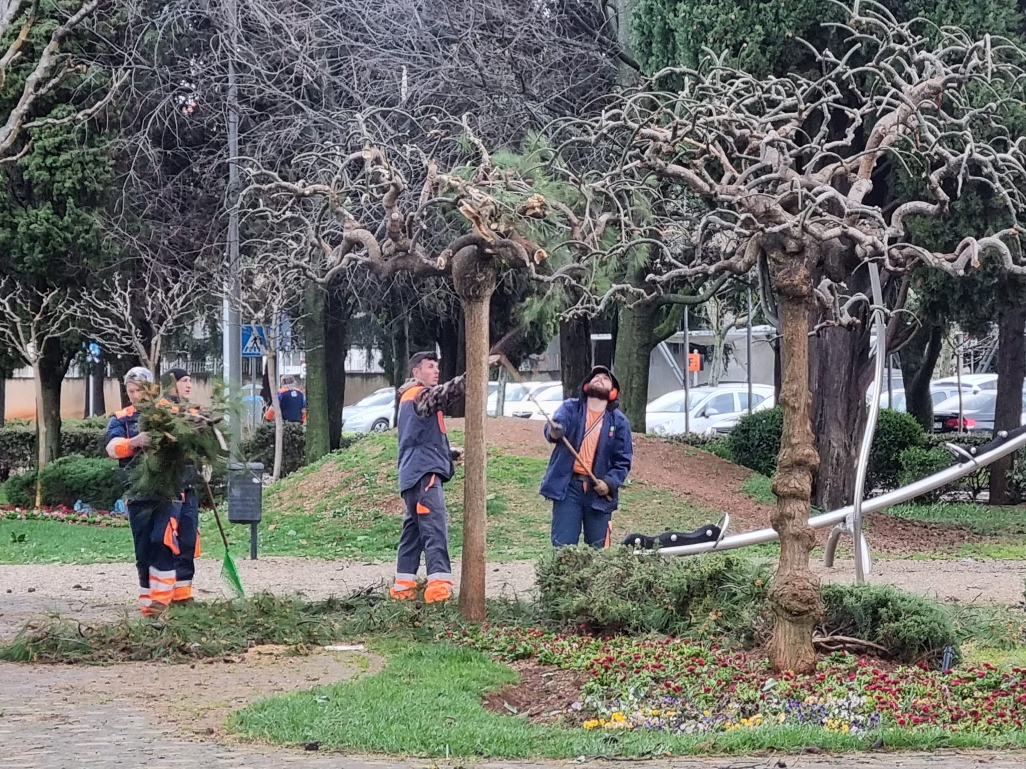 U Poreču se saniraju štete i uređuju zelene površine nakon velikog nevremena